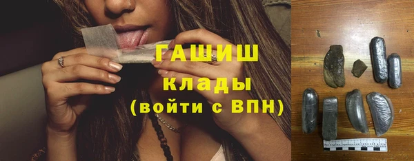 хмурый Абаза