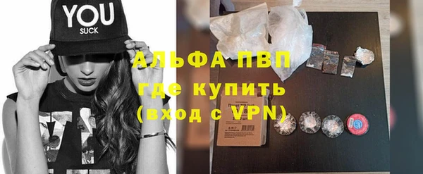 хмурый Абаза