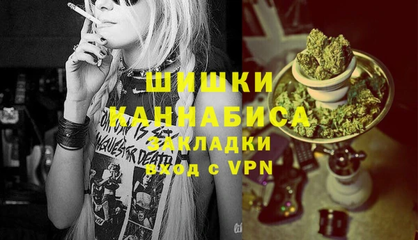хмурый Абаза