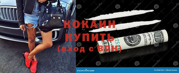 твердый Дмитровск