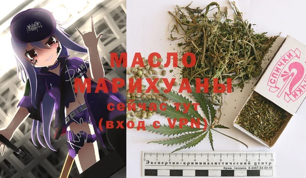 хмурый Абаза